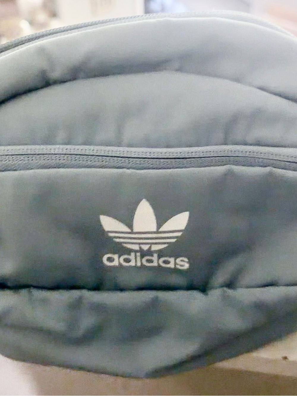 adidas Trefoil Belt Bag in Teal Green